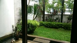 Tan Sim Boh Road (D11), Semi-Detached #275264641